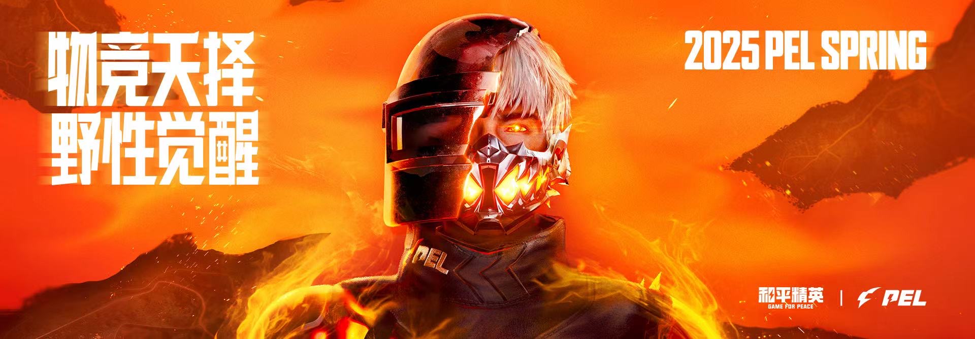 和平精英「火锅」辅助，站长首推